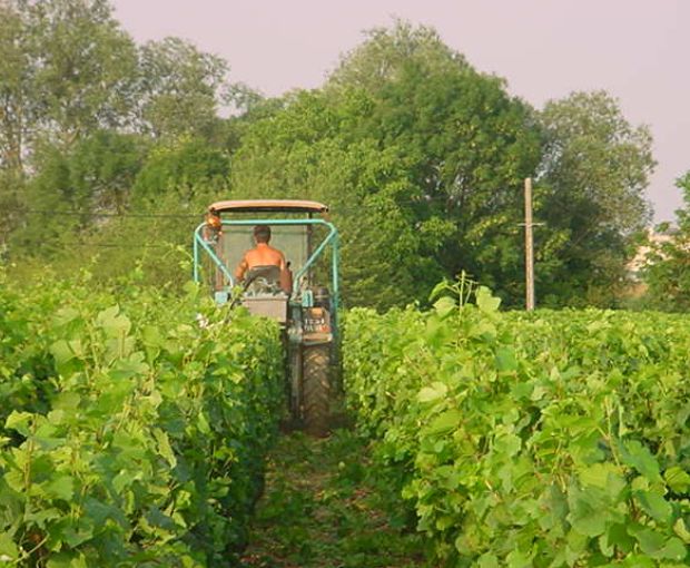 Meursault AOP 2021, Domaine Laboureau