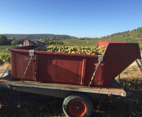 Macon-Villages AOP 2024, Domaine Laurent Dufouleur