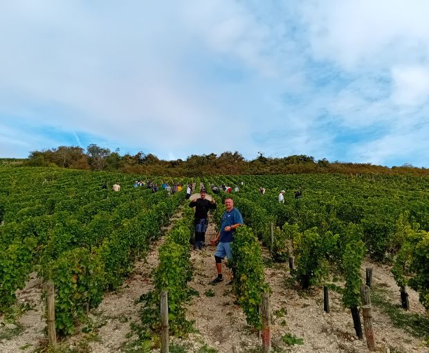 Sancerre AOP 2024, Domaine de Sacy
