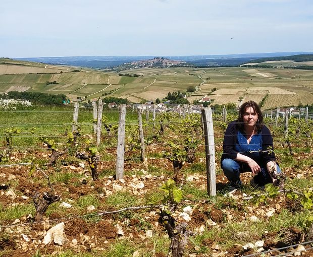Domaine de Sacy Sancerre