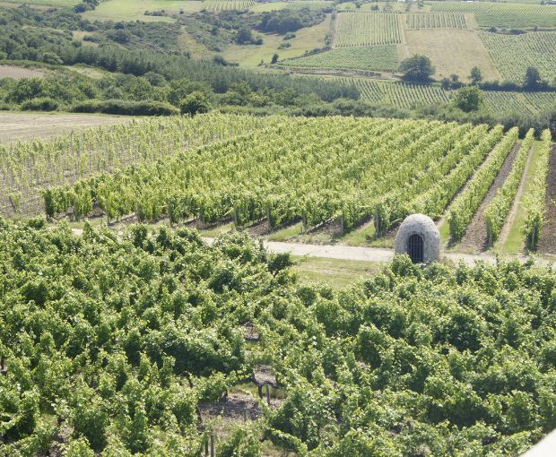 Crémant de Loire AOP Brut, Domaine des Barres