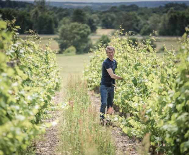 Saint Nicolas de Bourgueil AOC 2022, Domaine du Fondis