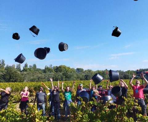 Côtes du Rhône AOP Lou Pitchoun 2023, Domaine des Gravennes