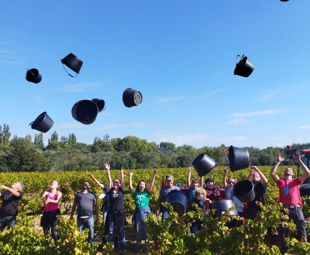 Côtes du Rhône AOP Lou Pitchoun 2023, Domaine des Gravennes