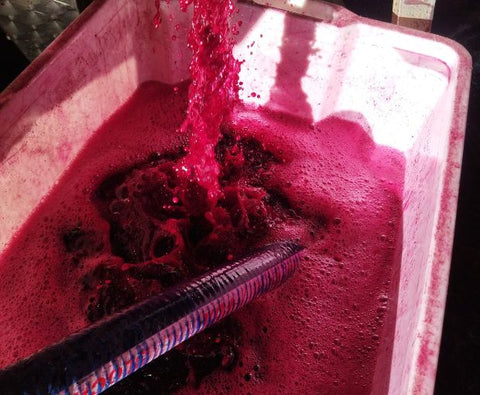 Côtes du Rhône AOP Lou Pitchoun 2023, Domaine des Gravennes