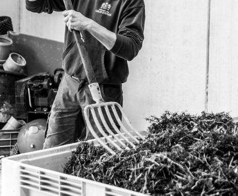 Côtes du Rhône AOP Lou Pitchoun 2023, Domaine des Gravennes