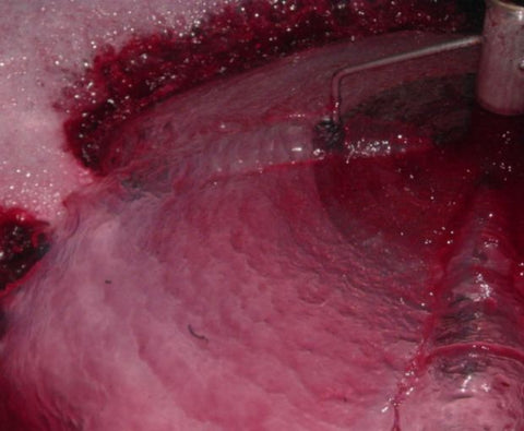 Saumur Champigny AOC Cuvee de Bruyn Vieilles Vignes 2023, Domaine du Fondis