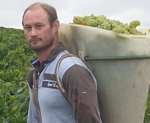 Petit Chablis AOC 2024, Jean-Pierre & Alexandre Ellevin