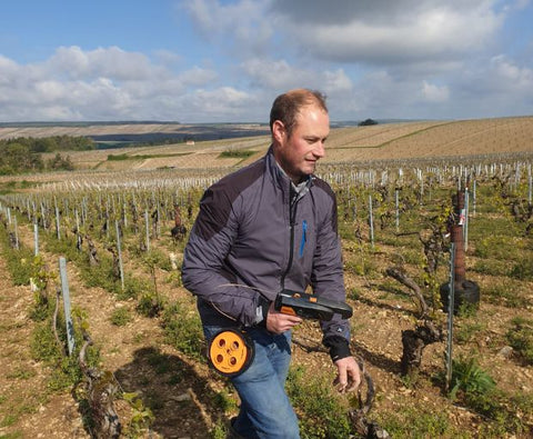 Petit Chablis AOC 2024, Jean-Pierre & Alexandre Ellevin