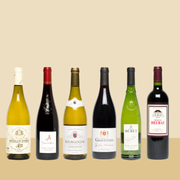 The French Classic Case