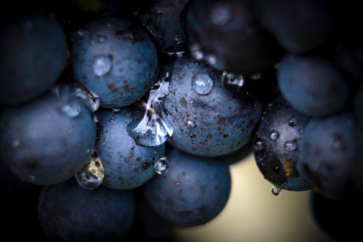 Wine at Home