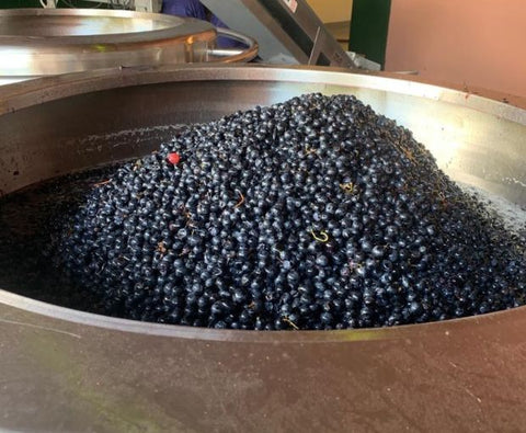 Cabernet Franc Reservado 2022, Fabre Montmayou