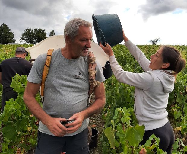Bourgogne Chardonnay AOC 2023, Vignerons des Grandes Vignes
