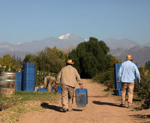 Malbec Gran Reservado 2021, Fabre Montmayou