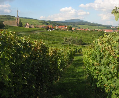 Gewurztraminer AAC 2022, Henri Kieffer Fils
