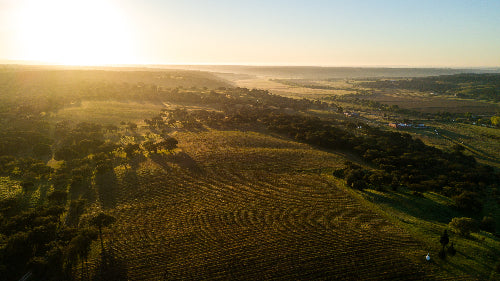 Gerónimo 2020, Herdade do Portocarro