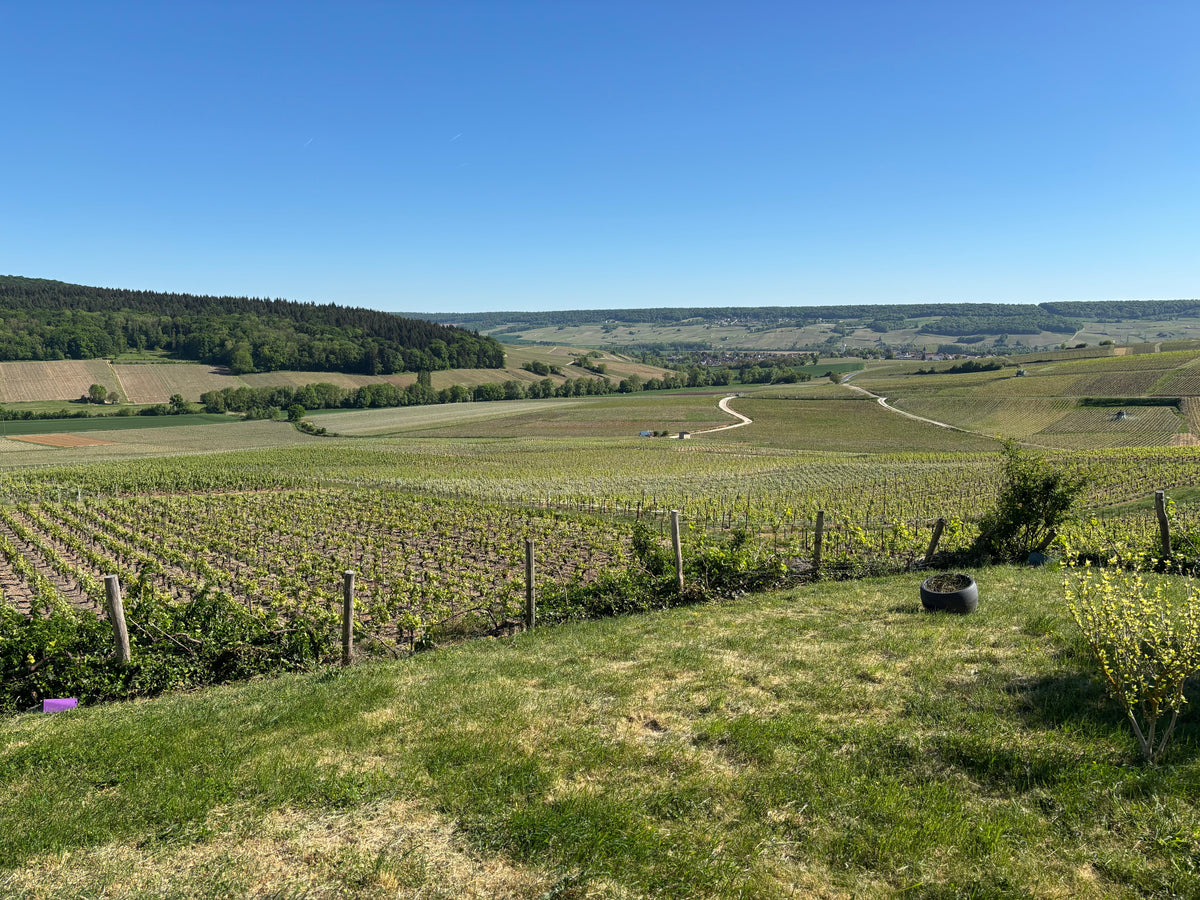 Champagne Francoise Monay Brut