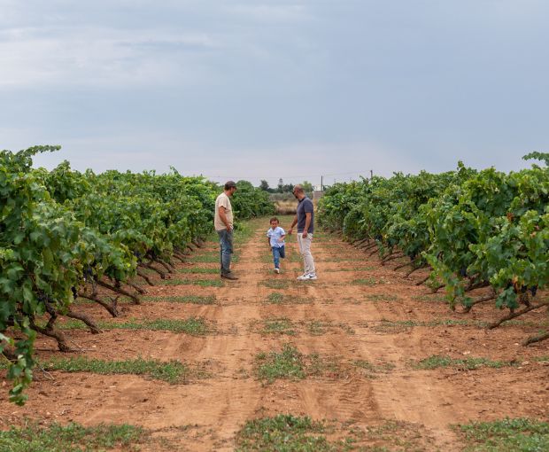 Bacca Bianca IGT Puglia Bianco 2025, Cantine Ionis