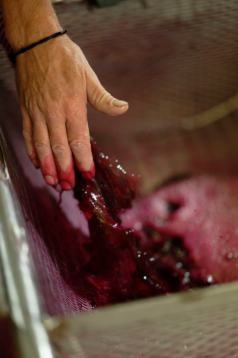 Saint-Estèphe AOC 2020, Les Hauts de Meyney