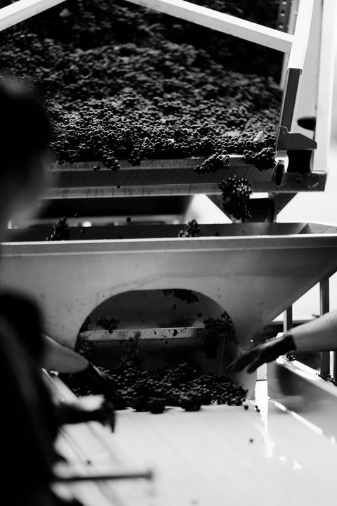 Saint-Estèphe AOC 2020, Les Hauts de Meyney