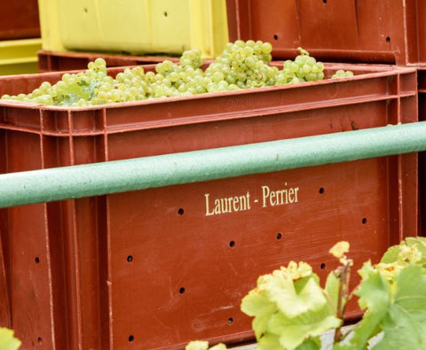 Champagne Laurent Perrier Grand Siècle n°24