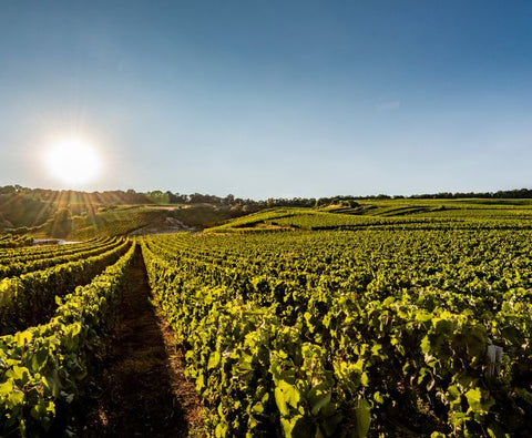 Champagne Laurent Perrier Grand Siècle n°24