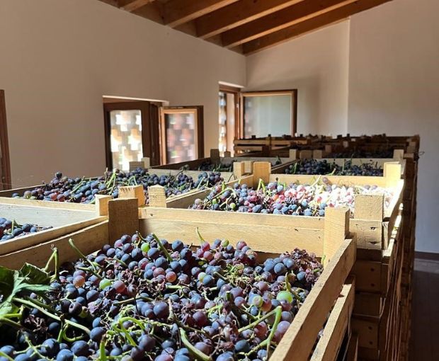 Amarone della Valpolicella DOCG Classico N'C' Rian 2019, Le Bertarole