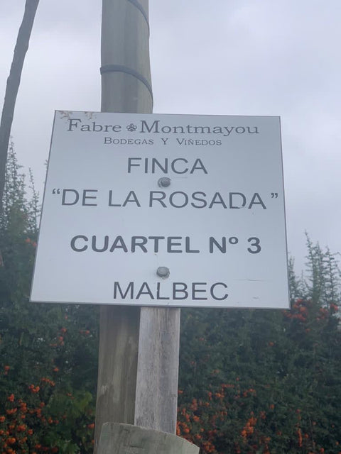 Malbec Gran Reservado 2020, Fabre Montmayou