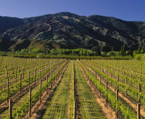 Pinot Noir Marlborough 2021, Map Maker