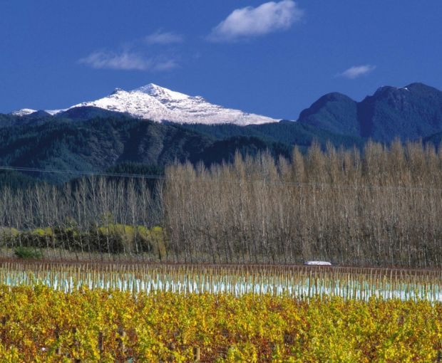Pinot Noir Marlborough 2021, Map Maker