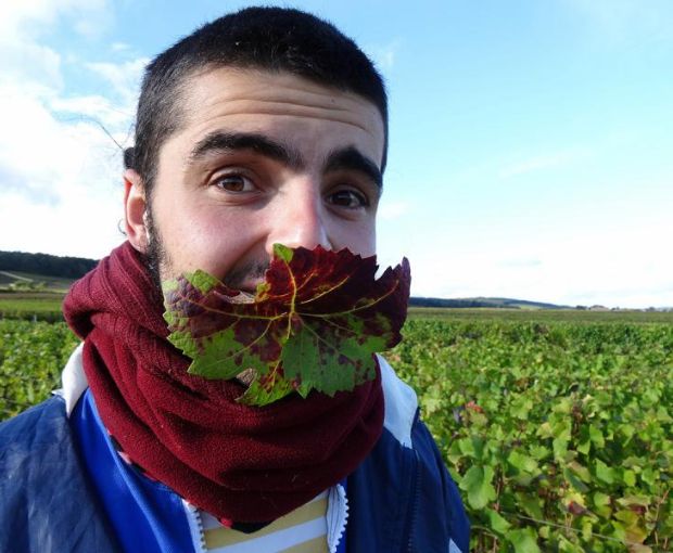 Gevrey-Chambertin 2020, Domaine Marchand-Grillot