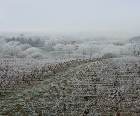 Mercurey AOC Les Loueres 2022, Domaine Laurent Dufouleur