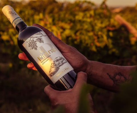 Montepulciano d'Abruzzo DOP La Pietraja 2022, Tenute del Pojo