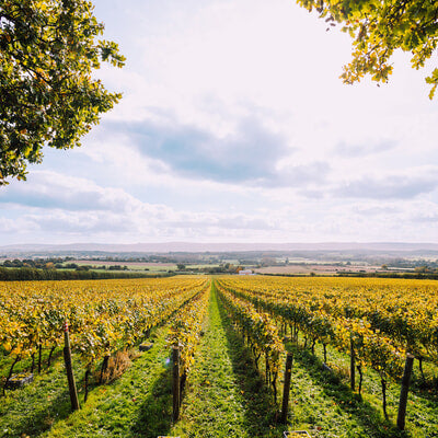 Nyetimber Classic Cuvee