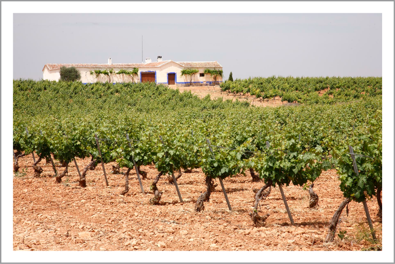 Verdejo Tierra Wine at Bodegas 2021, IGP Cala de Plata Vegaval Miguel – Castilla Home
