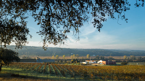Herdade do Portocarro Tinto 2017
