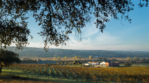 Herdade do Portocarro Tinto 2017