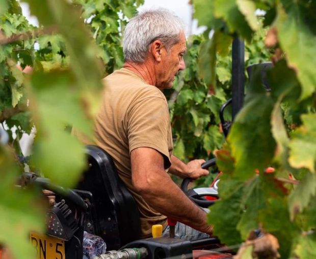 Primitivo Acanto Salento Puglia IGT 2024, Cantine Ionis