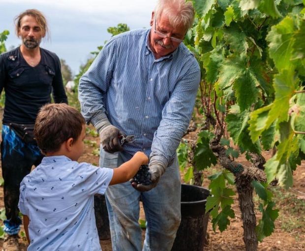 Bacca Bianca IGT Puglia Bianco 2025, Cantine Ionis