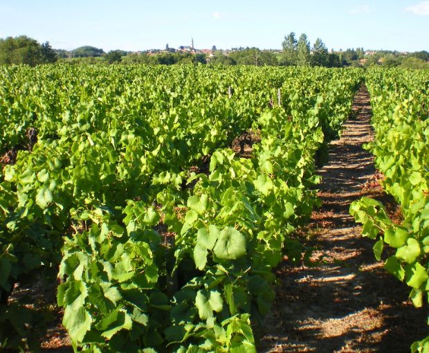 Methode Traditionnelle Cuvée Signée Rosé Domaine R de la Grange