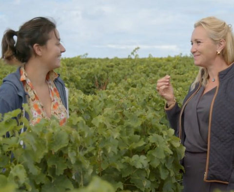 Sancerre Rosé AOC 2022, Domaine Raimbault Pineau