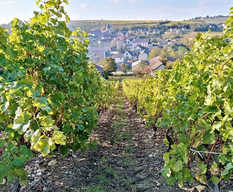 Menetou-Salon Blanc Les Chamblins AOC 2022, Domaine Raimbault
