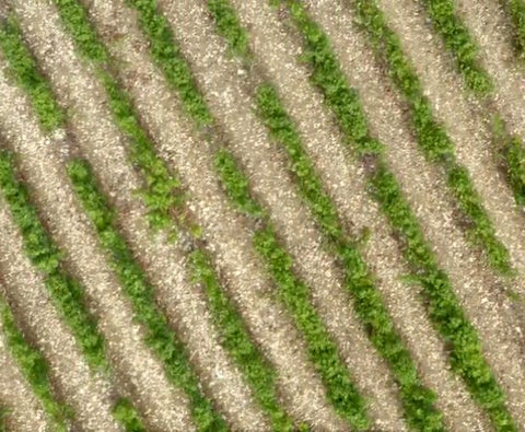 Sancerre Rosé AOC 2022, Domaine Raimbault Pineau