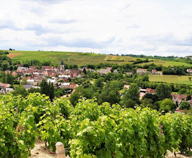 Coteaux-du-Giennois Blanc AOC 2022, Domaine Raimbault