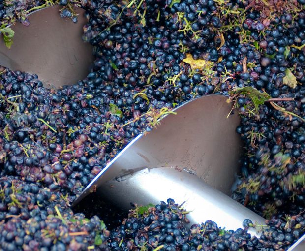 Costières de Nîmes AOP Les Hauts de Coste-Rives 2024 Rosé, Château Saint-Bénézet