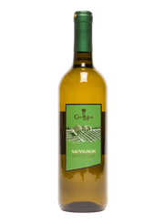 Sauvignon dell’ Emilia IGP 2025, Corte S. Maria