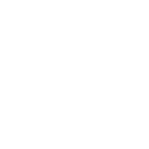 <strong>Delivery Partners</strong>