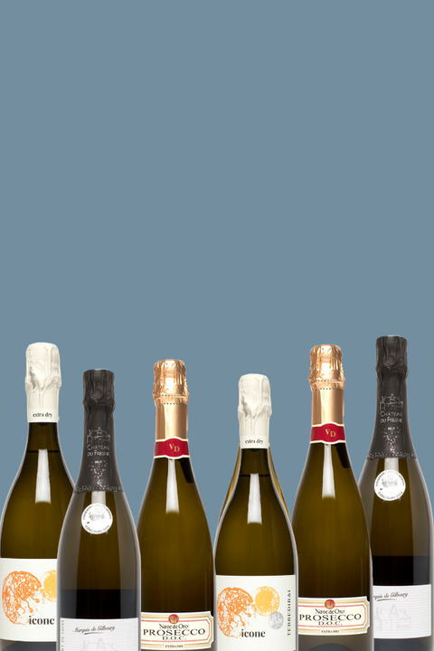 Mix of 6 different sparking wines and proseccp