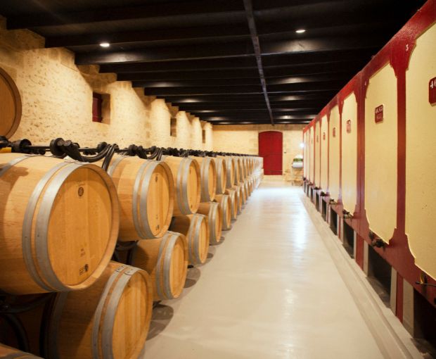 Saint Emilion Grand Cru AOC 2016, Château Haut-Rocher