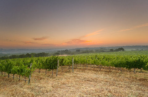 Herdade do Portocarro Tinto 2017